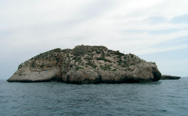 isla_mitjana