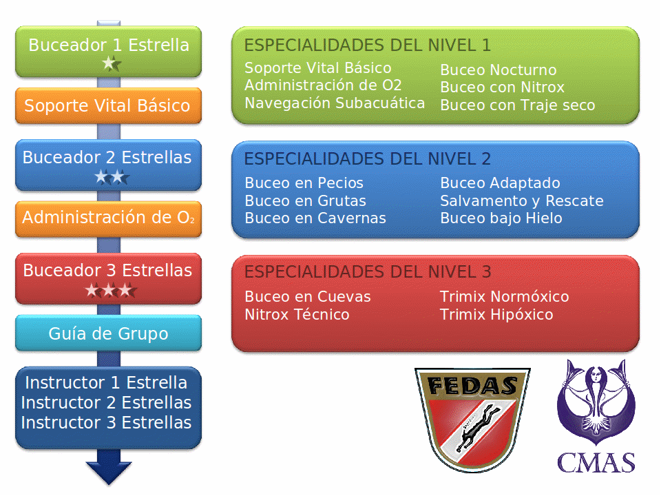 cursos